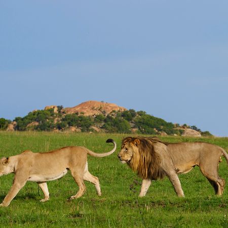 Nkomazi Game Reserve By Newmark バドプラース エクステリア 写真