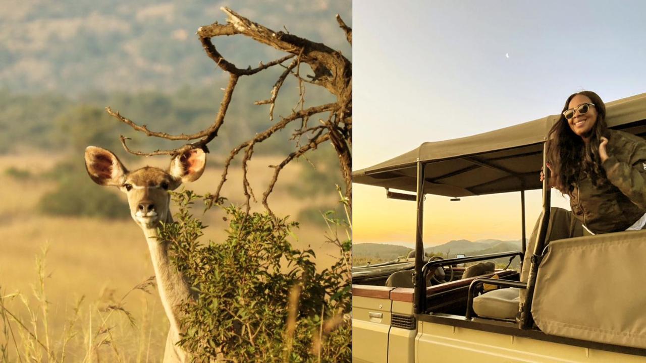 Nkomazi Game Reserve By Newmark バドプラース エクステリア 写真