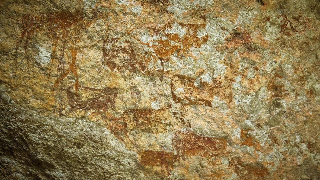 Nkomazi Game Reserve By Newmark バドプラース エクステリア 写真
