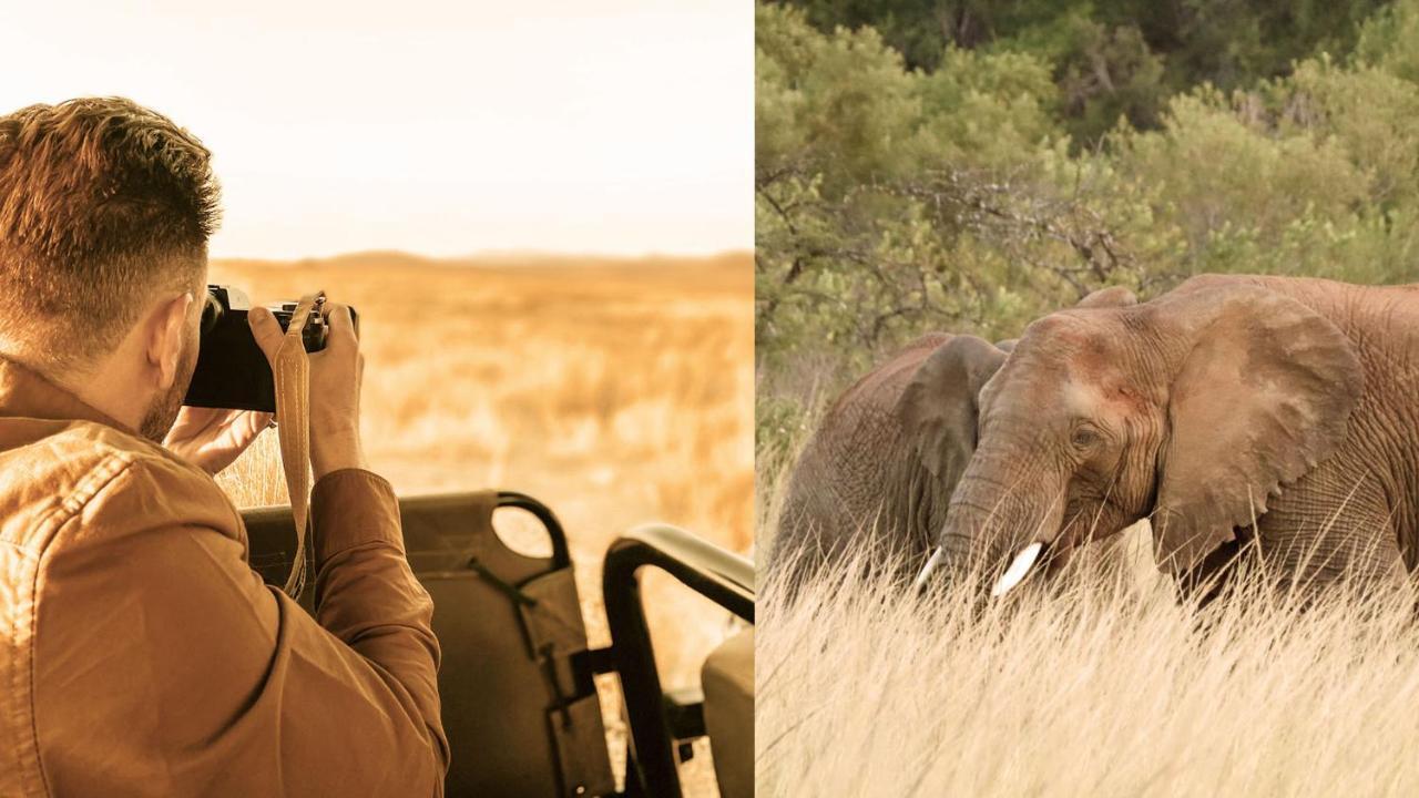 Nkomazi Game Reserve By Newmark バドプラース エクステリア 写真
