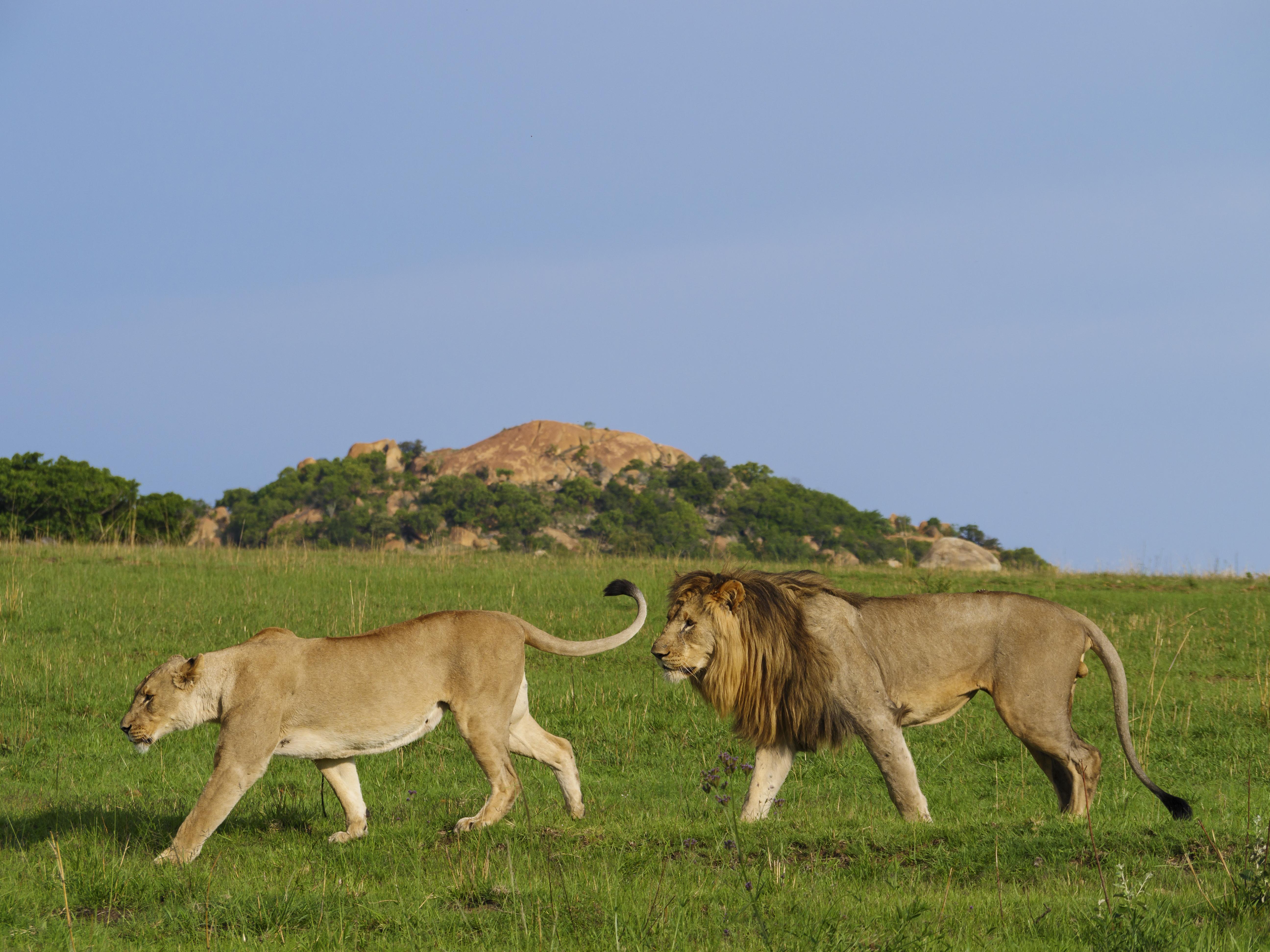 Nkomazi Game Reserve By Newmark バドプラース エクステリア 写真
