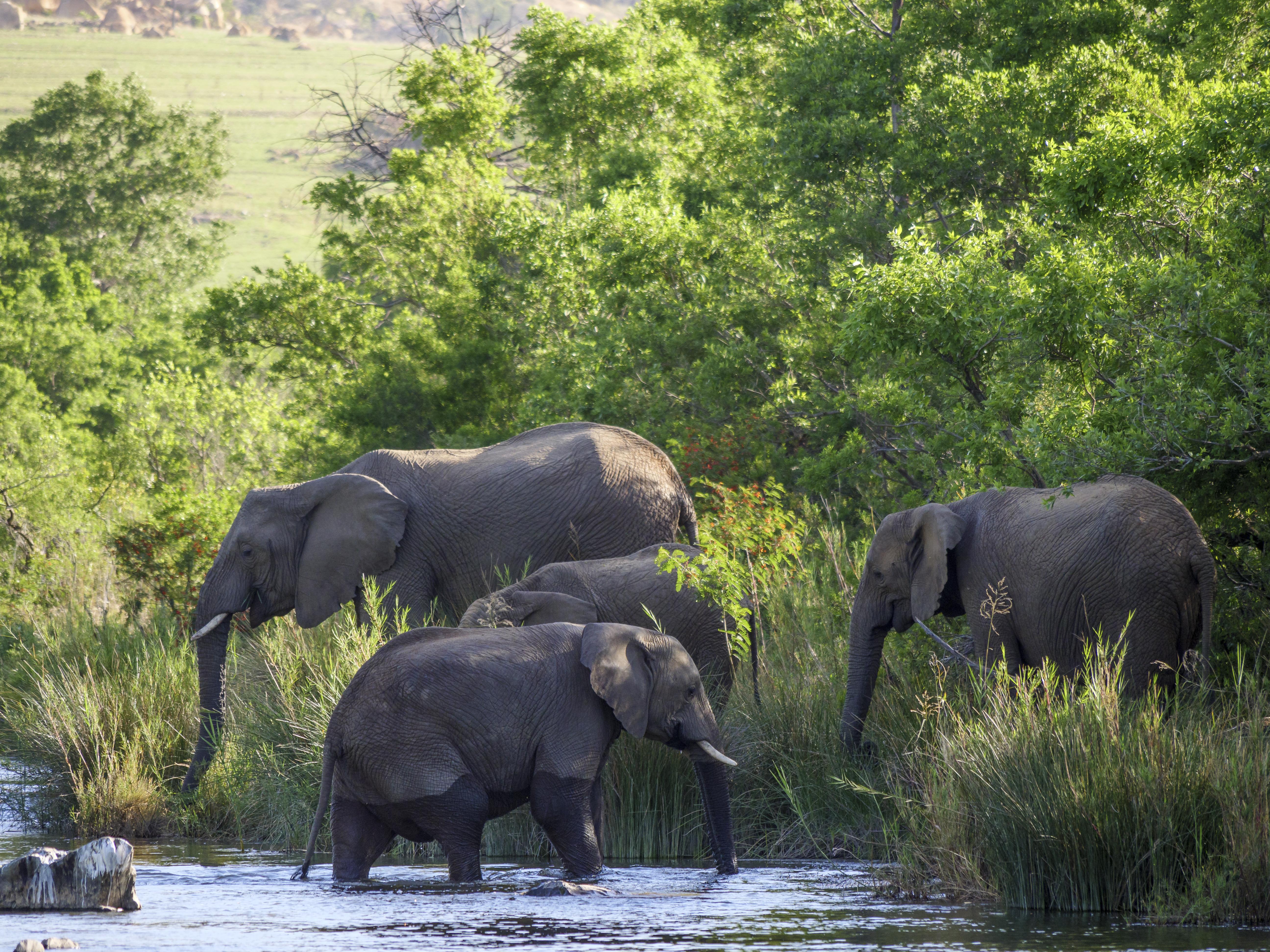Nkomazi Game Reserve By Newmark バドプラース エクステリア 写真